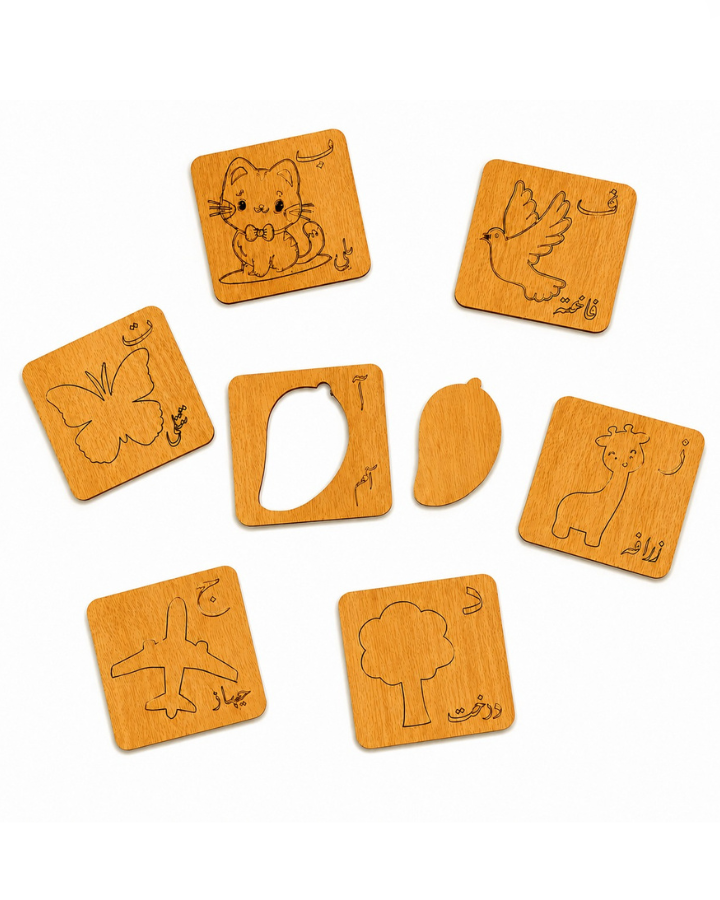 Premium 3-in-1 Educational Learning Kit